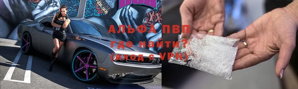 PSILOCYBIN Алзамай